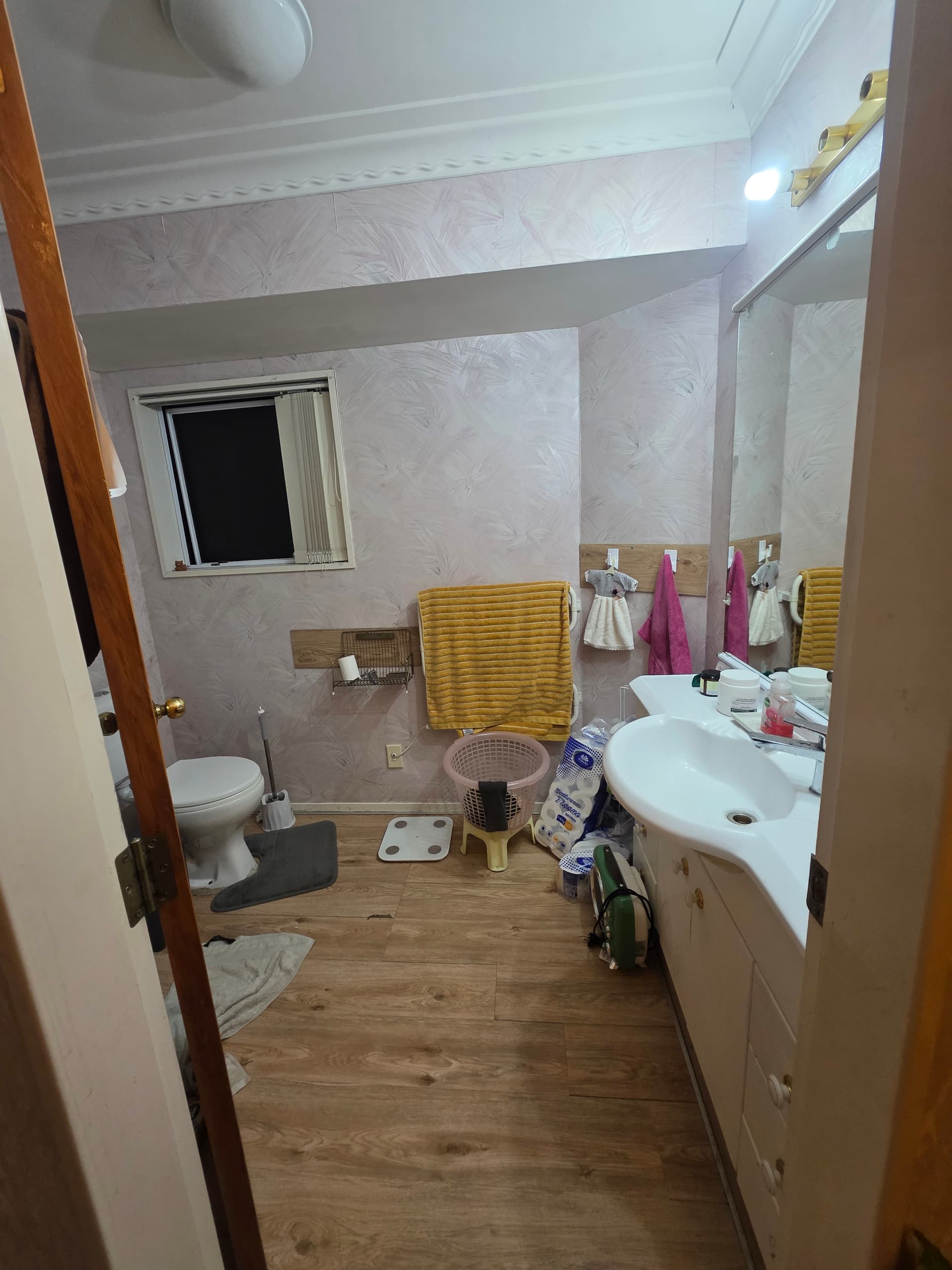 Bathroom before renovation — SEQ property project